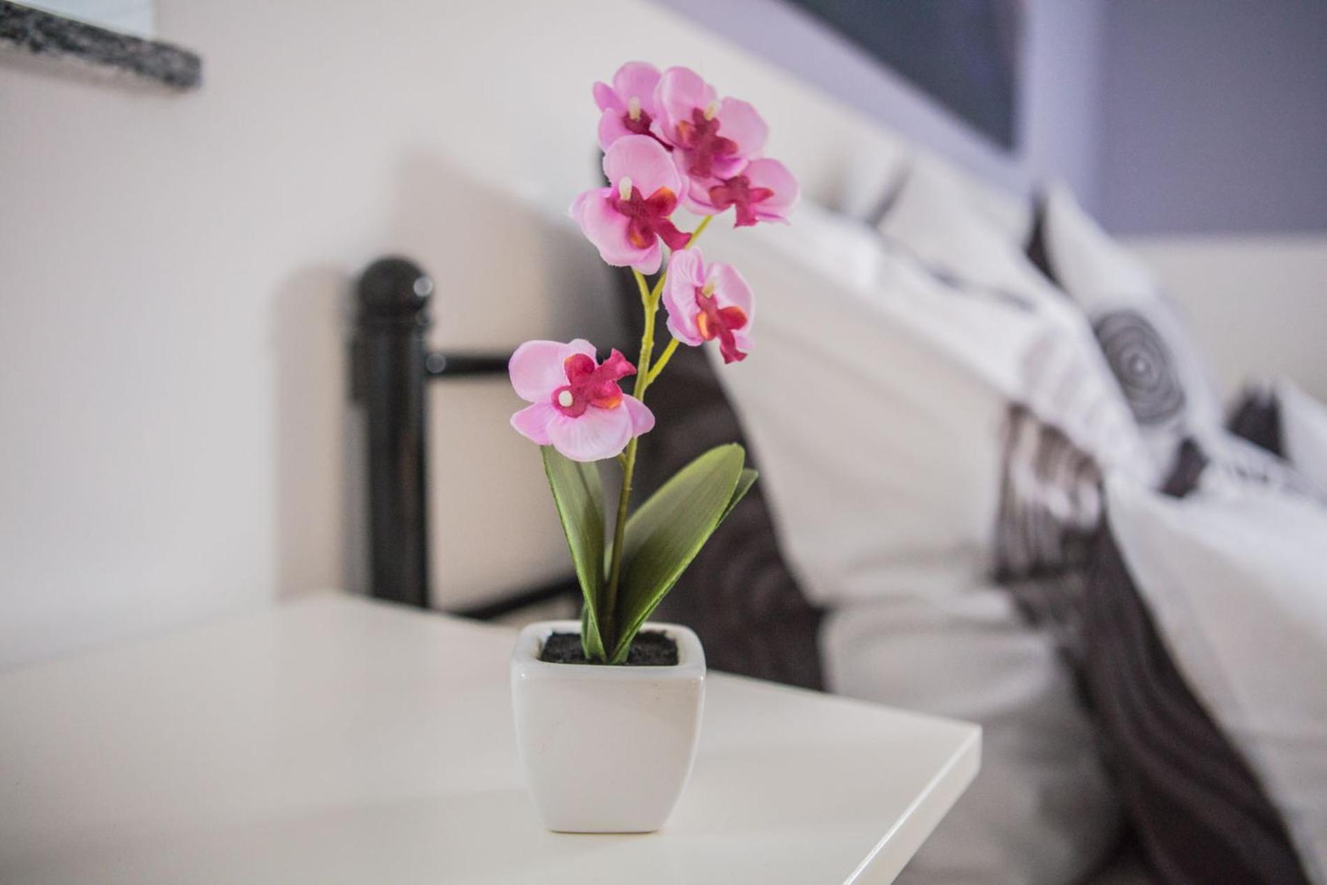Ferienwohnung Leipzig Sued Markkleeberg Bagian luar foto